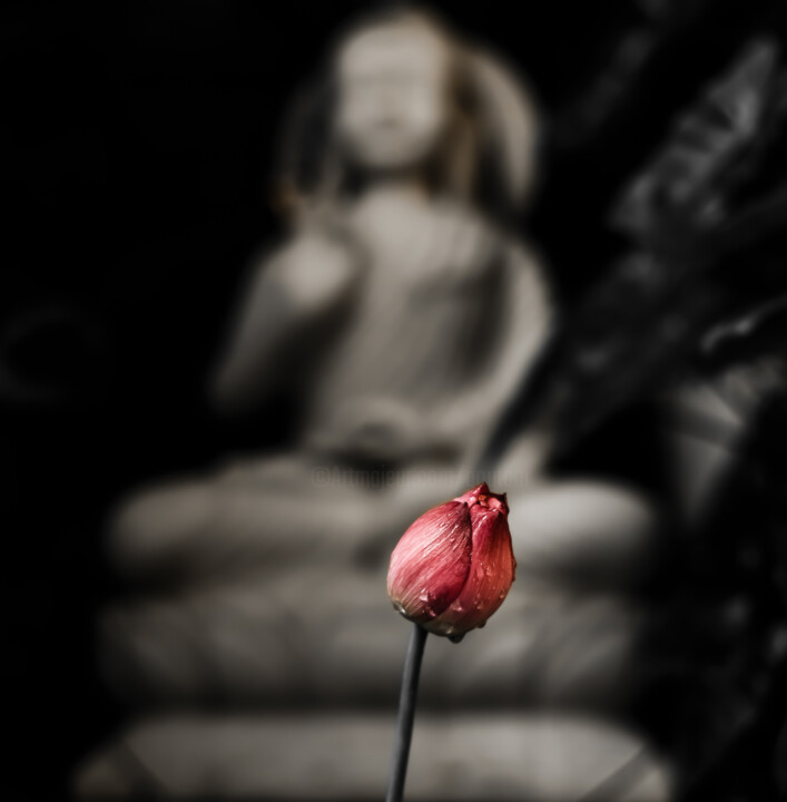 Photography titled "Buddha & the Lotus…" by Goutam Chakraborty, Original Artwork, Digital Photography