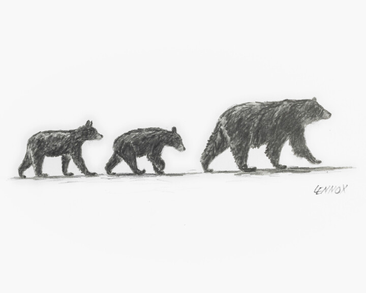Drawing titled "Cades Cove Crossing" by Clayt Lennox, Original Artwork, Graphite Mounted on Cardboard