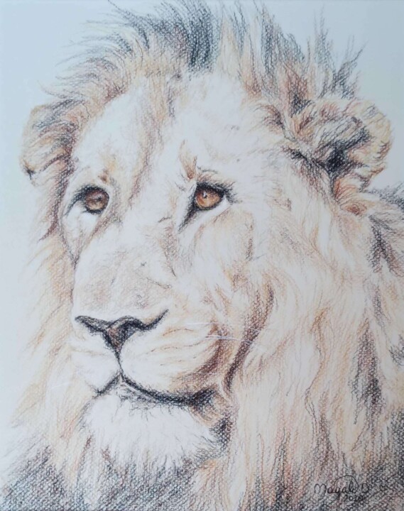 Le Lion 图画, 16.1x12.6 in