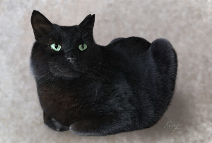 "ツヤツヤ黒ちゃん" başlıklı Dijital Sanat Rey tarafından, Orijinal sanat, Dijital Resim