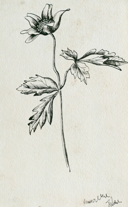 floral Schilderij, 7,9x5,5 in
