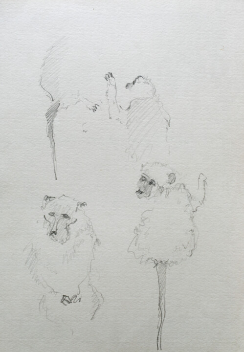 monkey 图画, 11.4x7.9 in
