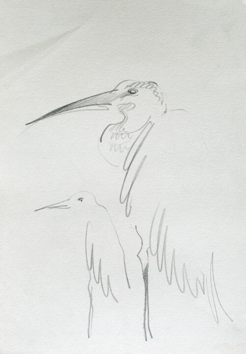 egret Resim, 11,4x7,9 in
