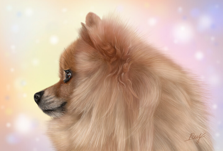 "ポメちゃん" başlıklı Dijital Sanat Rey tarafından, Orijinal sanat, Dijital Resim