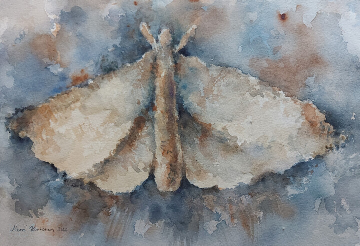 Painting titled "Lace Moth - Terraco…" by Mervi Korhonen, Original Artwork, Watercolor Mounted on Cardboard