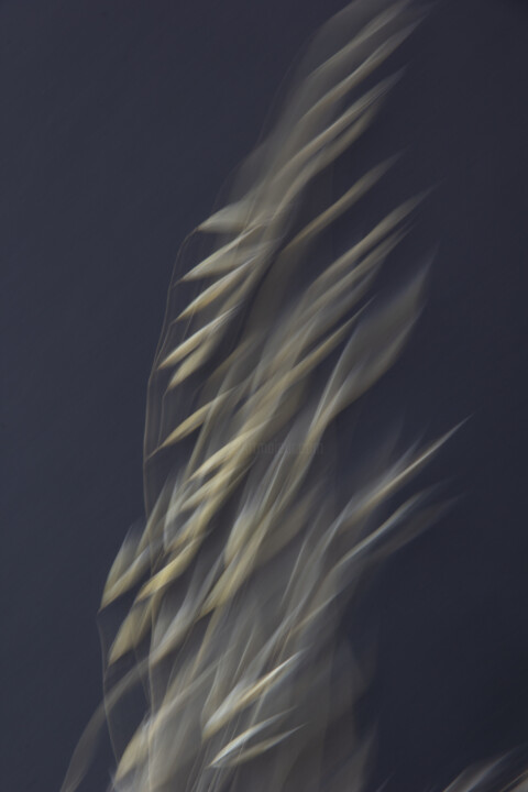 Vent de changement – n°1 Fotoğraf, 15,8x11,8 in