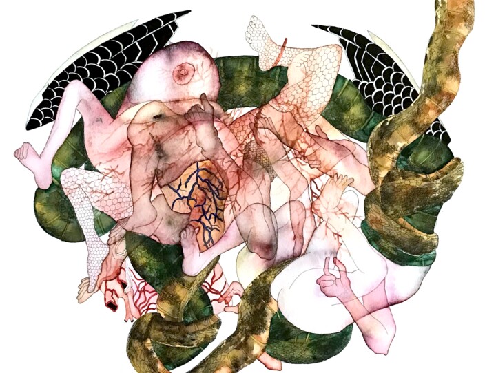 Cobras Dessin, 18,1x24 in