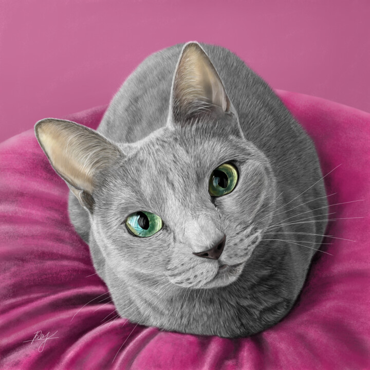 "ロシアンブルー" başlıklı Dijital Sanat Rey tarafından, Orijinal sanat, Dijital Resim