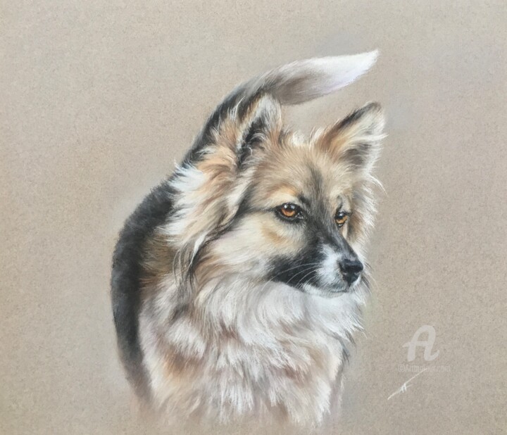 Ponytail Dessin, 10,6x11,8 in