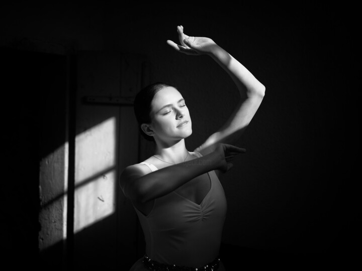 Passion Photographie