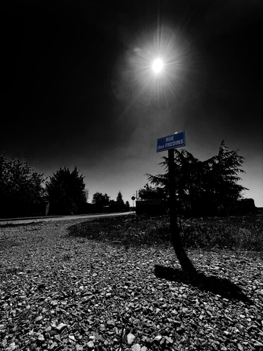 Fotoğraf 