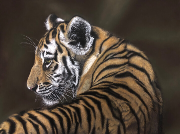 Tiger's Grace 图画, 16x22 in