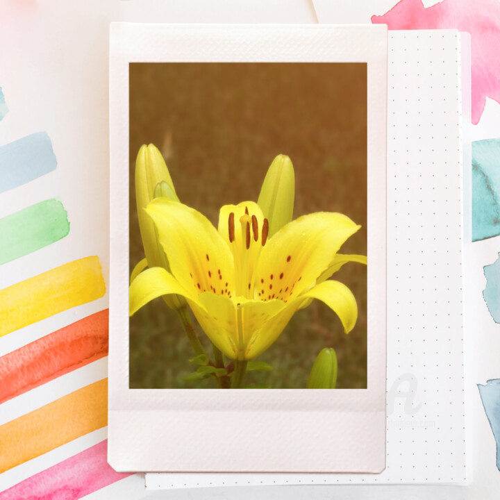 A yellow lys plus summer intense light edited 摄影