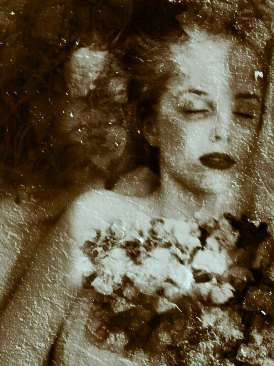 Sleeping flowers. 摄影