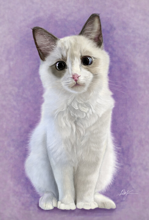 "ラグドール" başlıklı Dijital Sanat Rey tarafından, Orijinal sanat, Dijital Resim