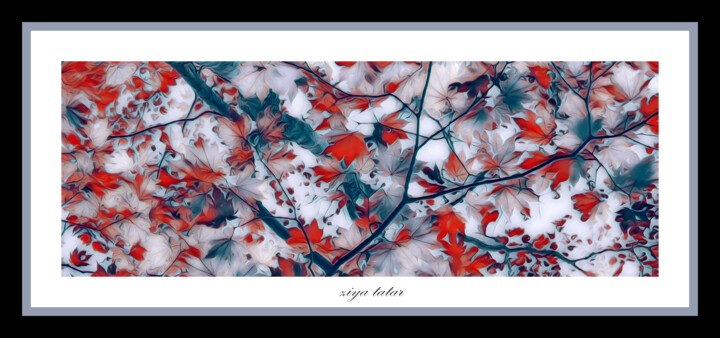 数字艺术 标题为“Love of colors 2” 由Ziya Tatar, 原创艺术品, 数字油画