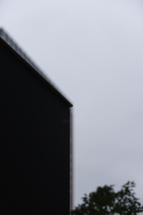Central Margins - Mar. 17, 2023, 17:38:36 Fotoğraf, 16,1x10,7 in