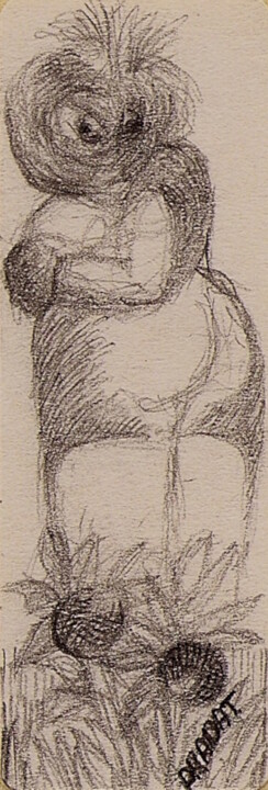 D37 摄影, 11.8x2.7 in
