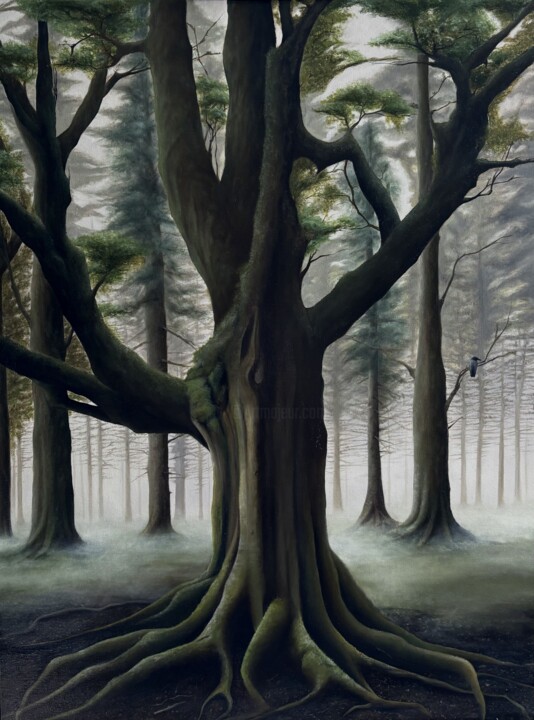 Tree Pittura, 31,5x23,6 in