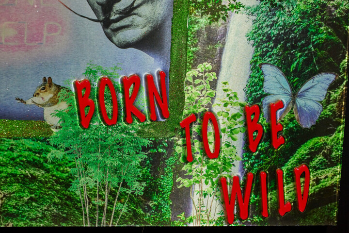 Vues supplémentaires 5