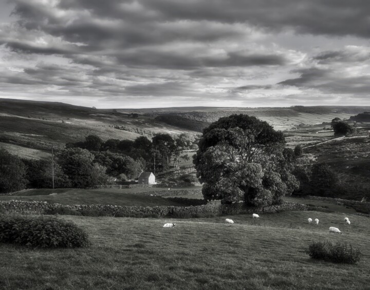 Danby Low Moor 摄影