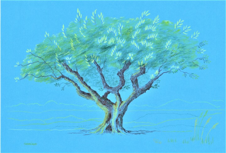 Arbre Olivier Drawing, 8.3x11.7 in