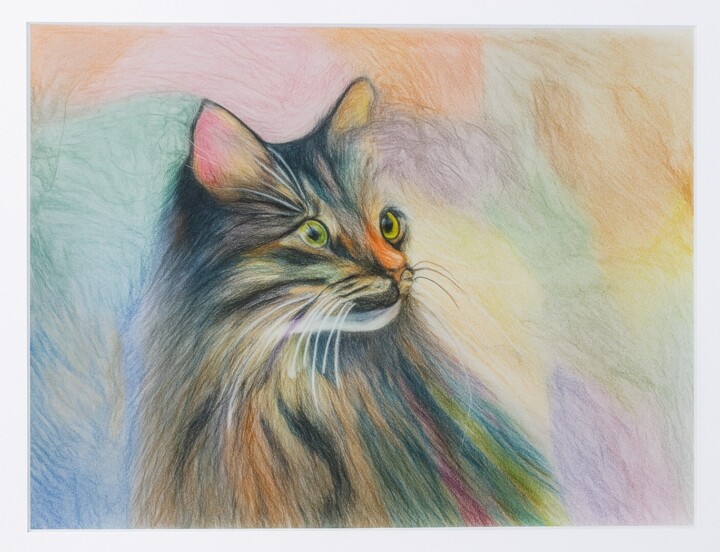 The cat 图画, 9.8x13.8 in