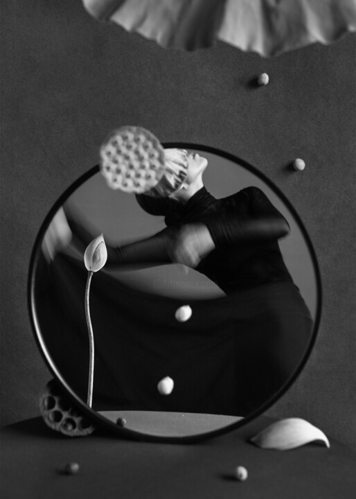 Where the Lotus Forgets to Die - III Photography, 27.6x19.7 in