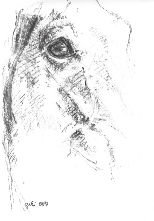 图画,  11.6x8.3 in 