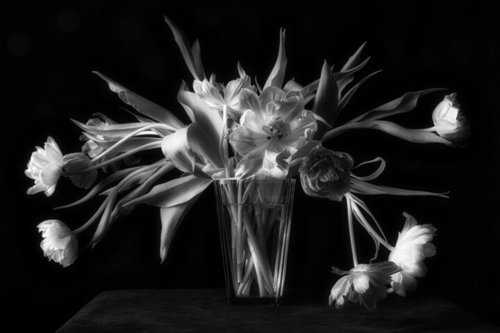 Past Fotografia, 16,5x23,4 in