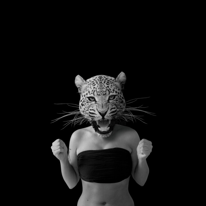 The Leopard Fotografia, 19,7x19,7 in