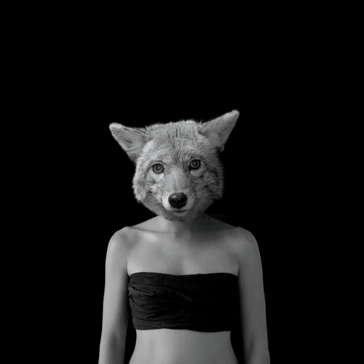 The Wolf Fotografia, 19,7x19,7 in