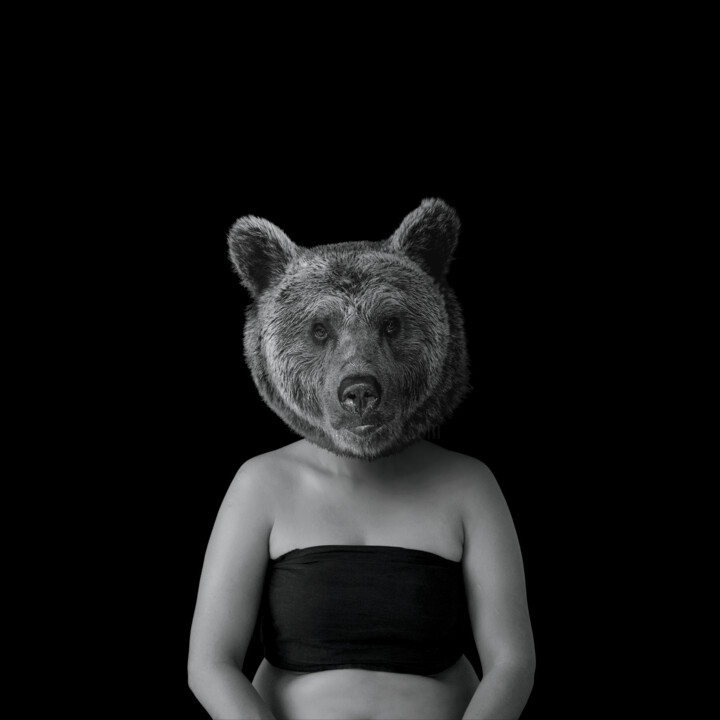Photography titled "The Bear" by Hamilton Becerra, Original Artwork, Digital Photography Mounted on Other rigid panel
