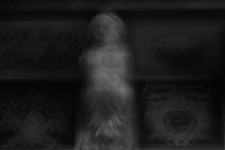Métamorphoses 0x545904 #1/5 摄影, 7.9x11.8 in