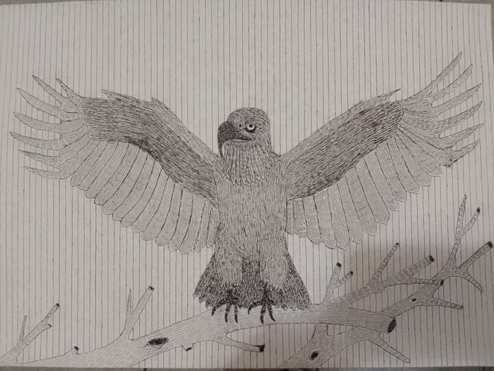 图画,  11.4x16.5 in 