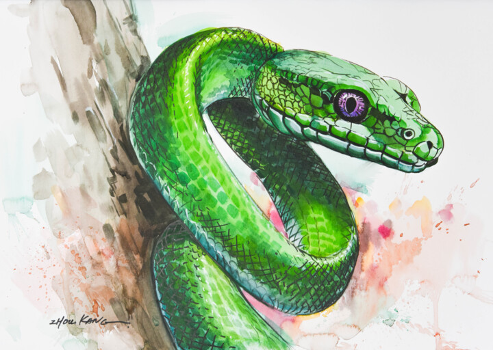 Snake2 绘画, 11.8x15.8 in