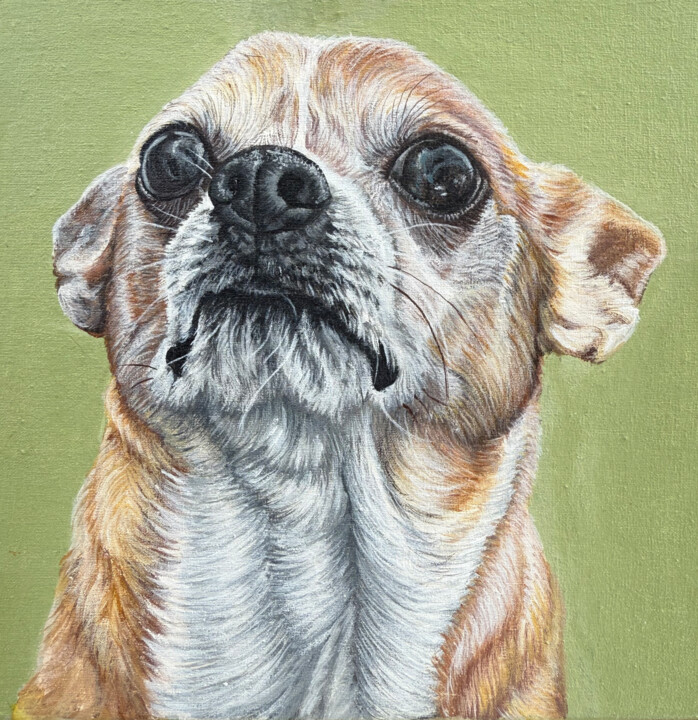 绘画 标题为“Portrait of a Chihu…” 由Antonina Pavlic, 原创艺术品, 丙烯