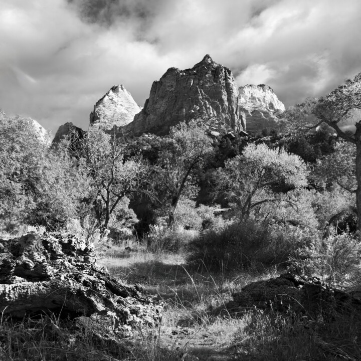 Zion National Park, Utah 3 摄影