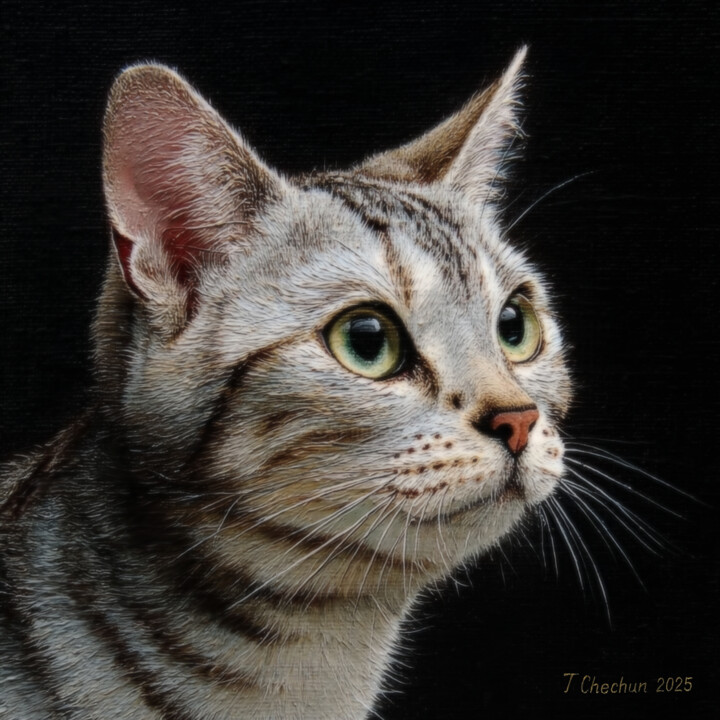 Painting titled "Tabby smooth-haired…" by Tatjana Cechun, Original Artwork, Oil Mounted on Wood Stretcher frame