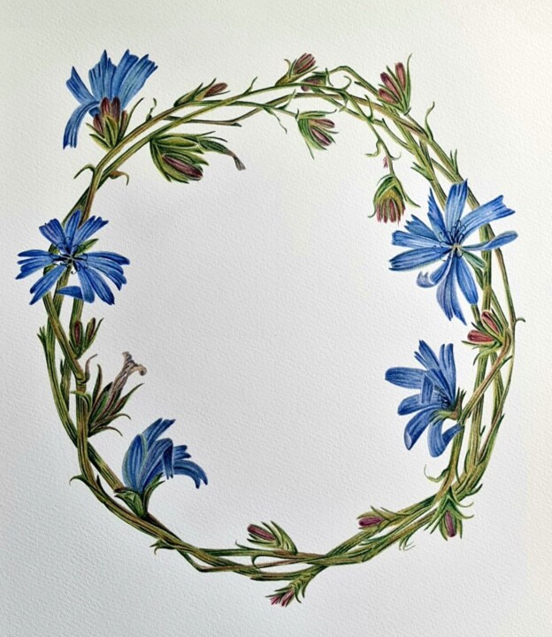 Painting titled "Chicory wreath" by Olga Poruchikova, Original Artwork, Watercolor