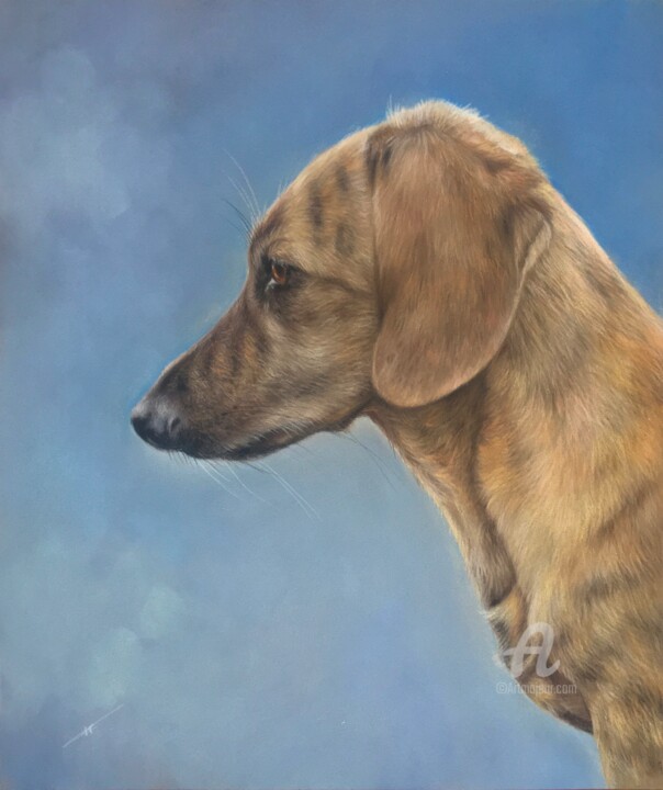 Drawing titled "Mini dachshund" by Irene_art, Original Artwork, Pastel