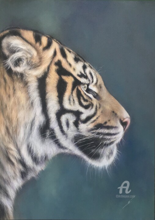 Drawing titled "Serious cat." by Irene_art, Original Artwork, Pastel
