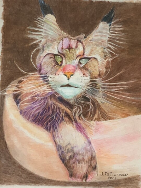 CHAT À LONGS POILS EN OBSERVAYION 绘画, 17.7x13.8 in