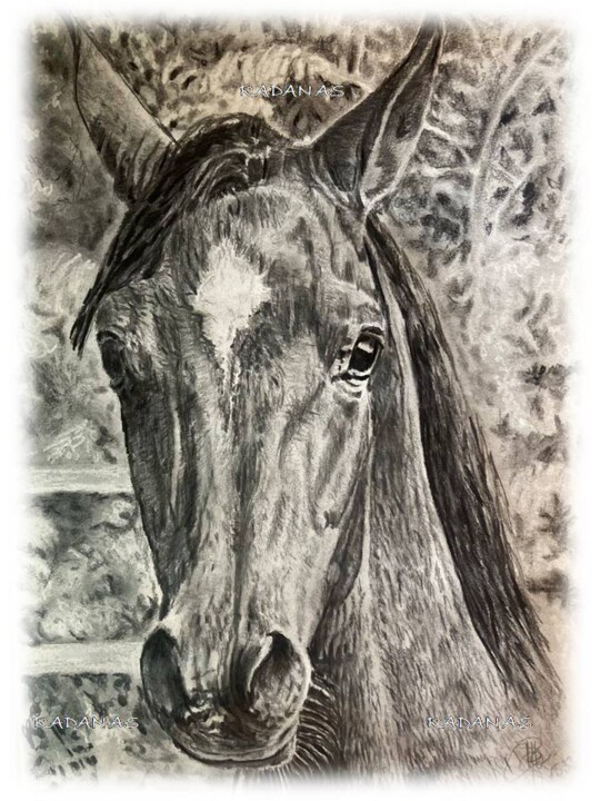 Arabian thoroughbred in the Sarmatian Mountains 图画, 16.5x11.8 in