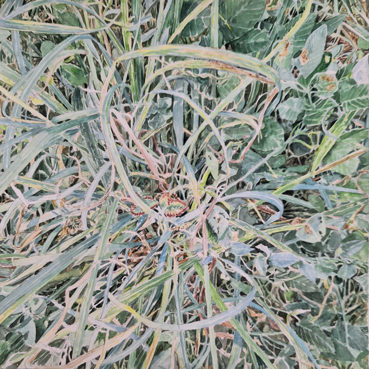 Drawing titled "Temps et désordre S…" by Guillaume Querré, Original Artwork, Watercolor