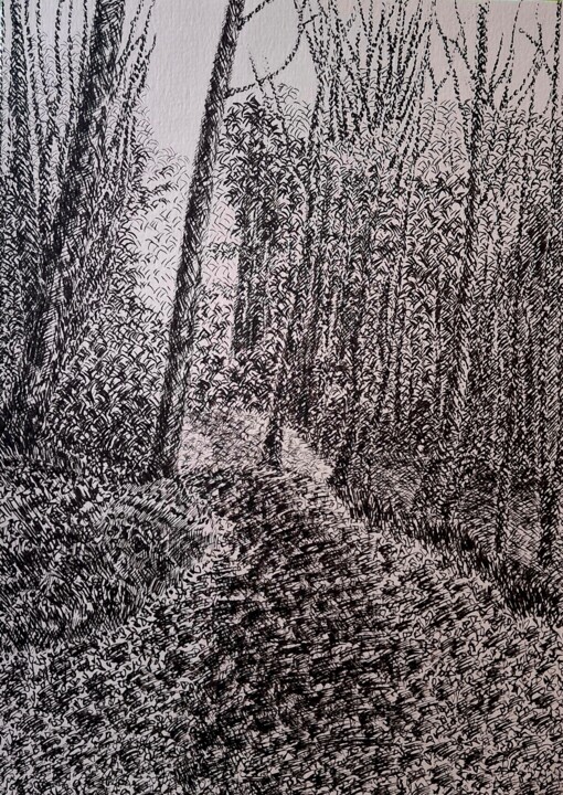 Drawing titled "A walk in Nant Mill…" by Mayamba Mwanza, Original Artwork, Ink
