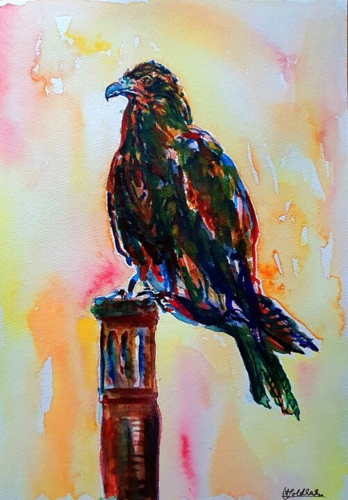Adler 绘画, 11.8x8.3 in