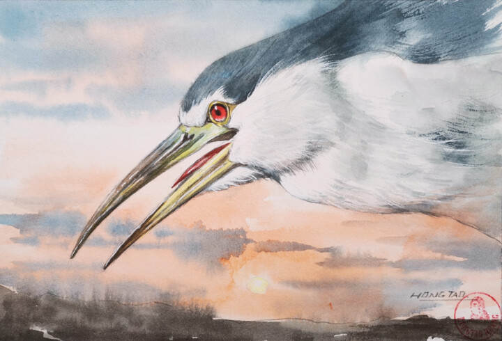 Black-crowned night heron Pittura, 5,1x7,5 in
