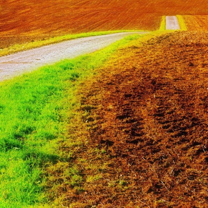 Cotswolds Unseen Fotografia