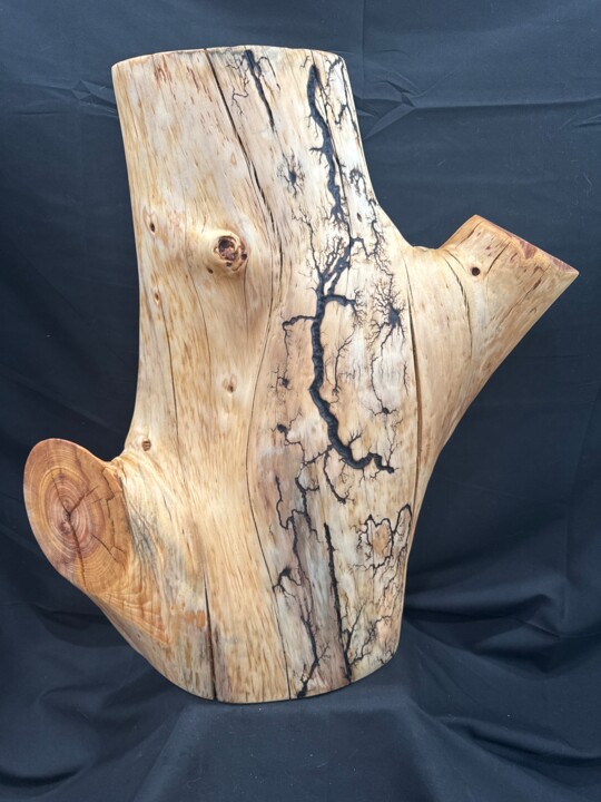 Lightning Strike Scultura, 20x18 in